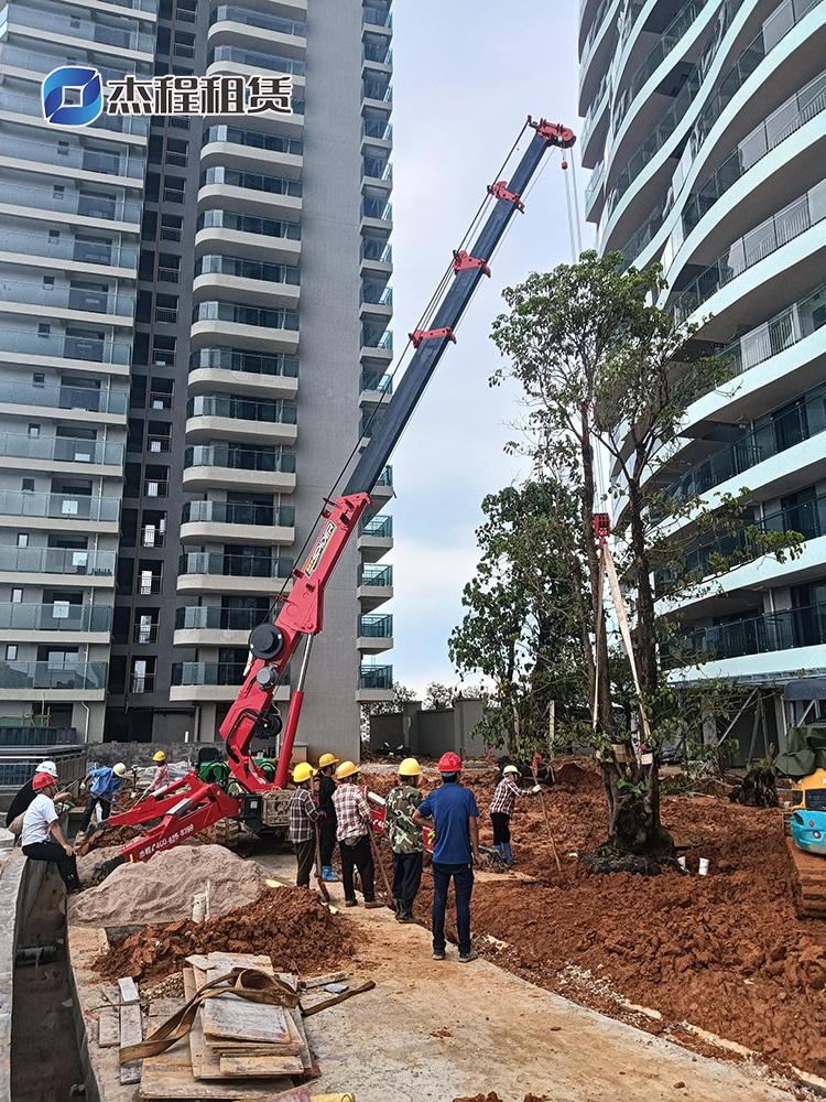 5噸蜘蛛吊出租助力園林景觀樹移植